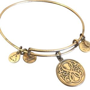 RARE Alex and ani “energy” bracelet